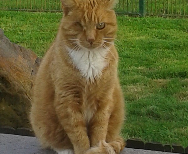 40 Jahre: Geschichte 7 – Sehnsucht nach Zuhause 40 Jahre: Geschichte 7 – Sehnsucht nach Zuhause