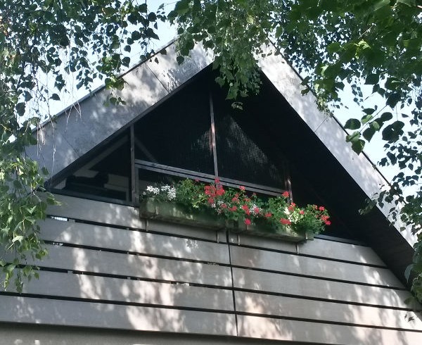 Balkon und Fenstersicherungen