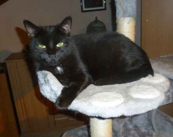 Cecile (alias Leila) Cecile (alias Leila)