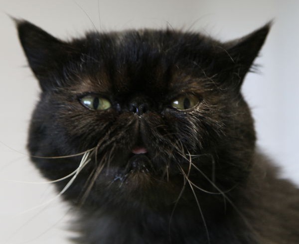 Senioren für Senioren Senioren für Senioren