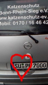 Frisch durch den TÜV