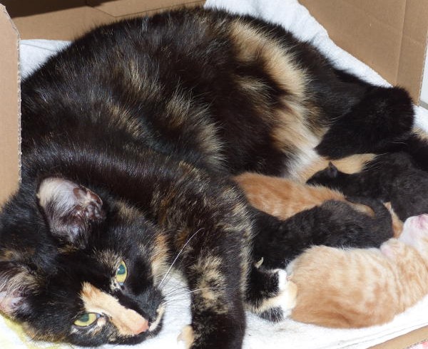 Alles Gute zum Muttertag! – Die Mutter-Kind-Saison hat begonnen! Alles Gute zum Muttertag! – Die Mutter-Kind-Saison hat begonnen!