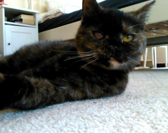 Ivy und Amy Ivy und Amy