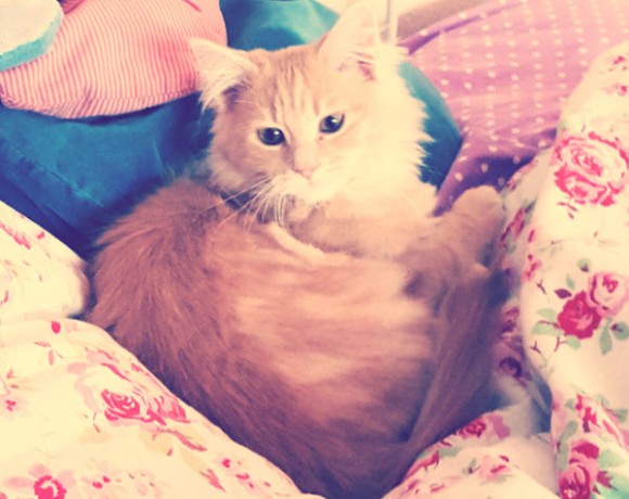 Ivy und Amy Ivy und Amy