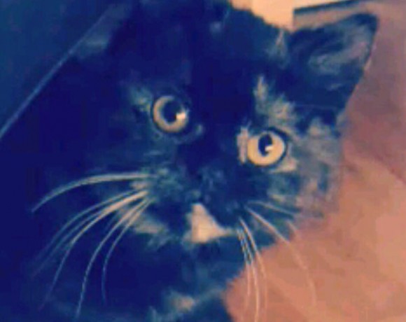 Ivy und Amy Ivy und Amy