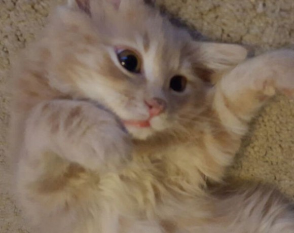 Ivy und Amy Ivy und Amy