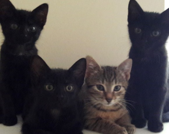 Lilli und Leo Lilli und Leo