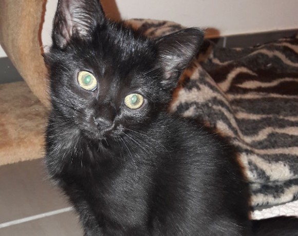 Lilli und Leo Lilli und Leo