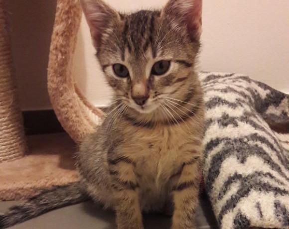 Lilli und Leo Lilli und Leo