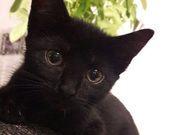 Lilli und Leo Lilli und Leo