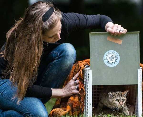 Einladung: Infoabend für interessierte Helfer mit Herz am 02.12.2016 Einladung: Infoabend für interessierte Helfer mit Herz am 02.12.2016