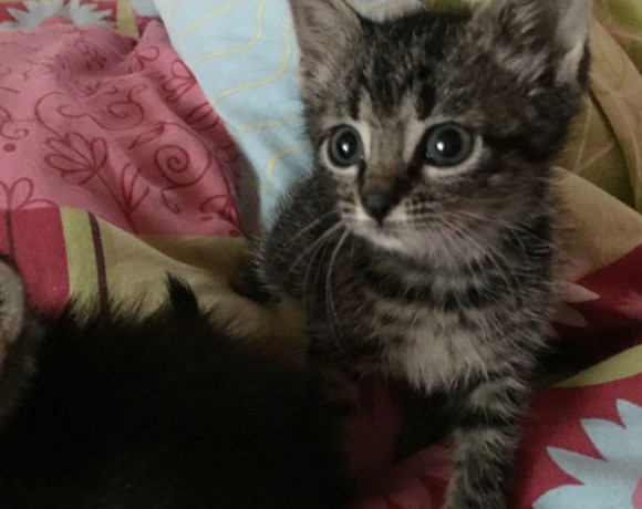 Smilla und Leyla Smilla und Leyla