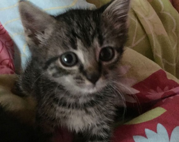 Smilla und Leyla Smilla und Leyla