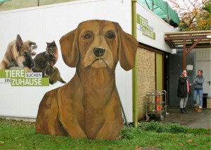 WDR Tiere suchen ein Zuhause