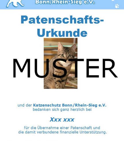 Last-Minute: Schenken Sie mit Herz – mit einer Tierpatenschaft Last-Minute: Schenken Sie mit Herz – mit einer Tierpatenschaft
