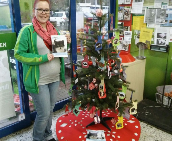 Himmlische Aktion: Wunschbaum im Fressnapf Bornheim Himmlische Aktion: Wunschbaum im Fressnapf Bornheim