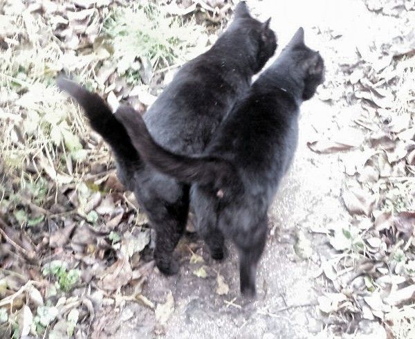 Singlebörse: Partner fürs Leben gesucht! Singlebörse: Partner fürs Leben gesucht!