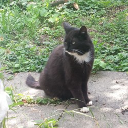 40 Jahre: Geschichte 2 – Der besondere Moment