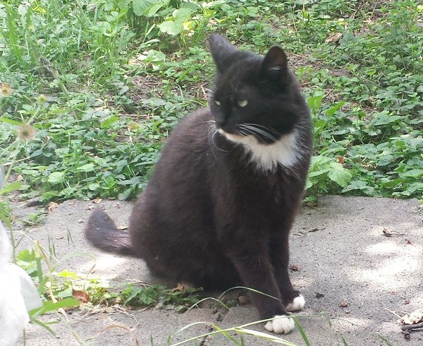 40 Jahre: Geschichte 2 – Der besondere Moment 40 Jahre: Geschichte 2 – Der besondere Moment