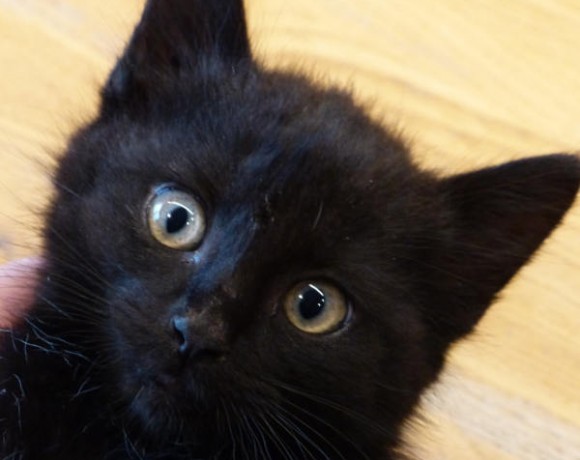 Svantje, Sören und Sverre