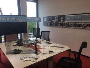 Infostand beim Weltkatzentag