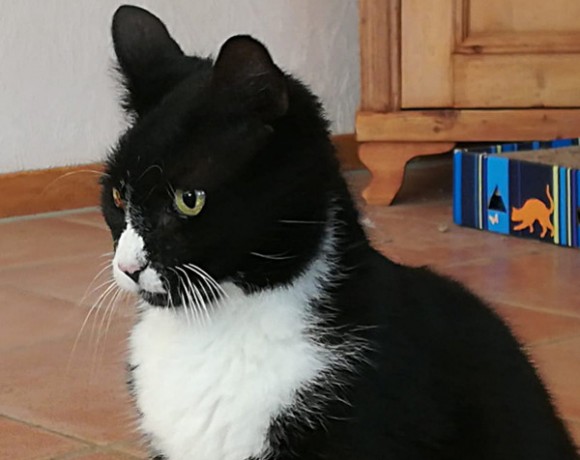 Benny (Spitzname Schluppi)