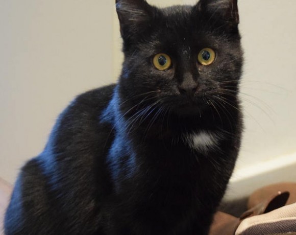 Mrs. Ellie Mrs. Ellie