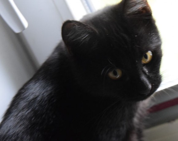 Mrs. Ellie Mrs. Ellie