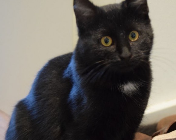 Mrs. Ellie Mrs. Ellie