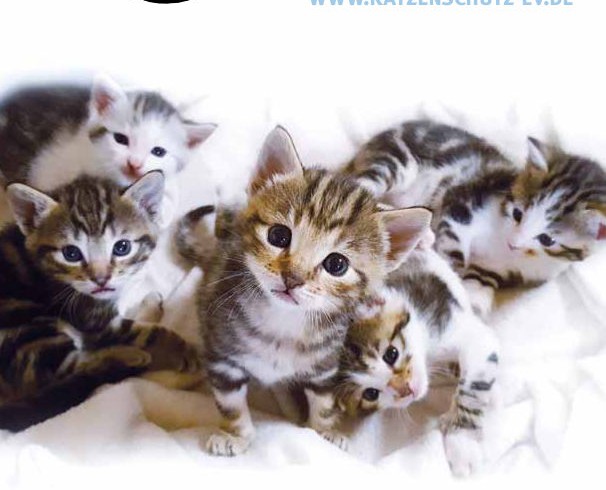 Die neue Postille ist erschienen! Die neue Postille ist erschienen!