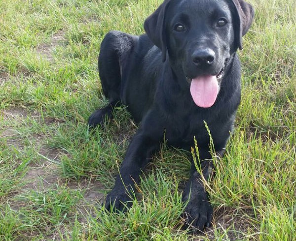 40 Jahre: Geschichte 8 – Maya und die traurige Gewissheit 40 Jahre: Geschichte 8 – Maya und die traurige Gewissheit