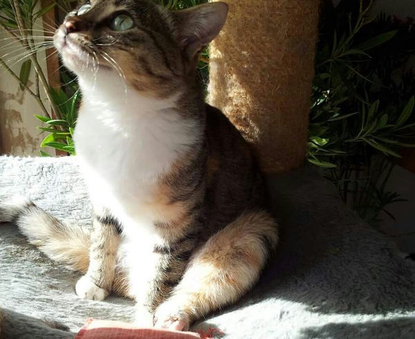 40 Jahre: Geschichte 9 – Hope 40 Jahre: Geschichte 9 – Hope