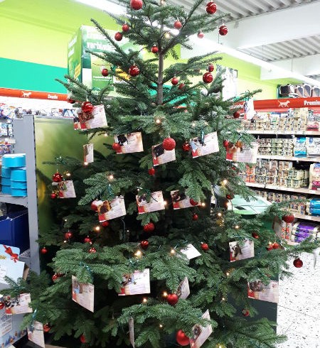 Oh Tannenbaum – Weihnachts-Wunschbäume bei Fressnapf