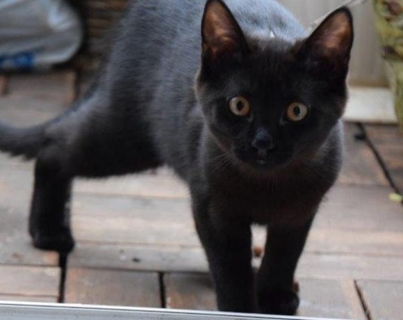 Liya und Muck Liya und Muck