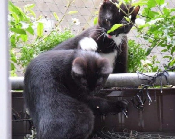 Liya und Muck Liya und Muck