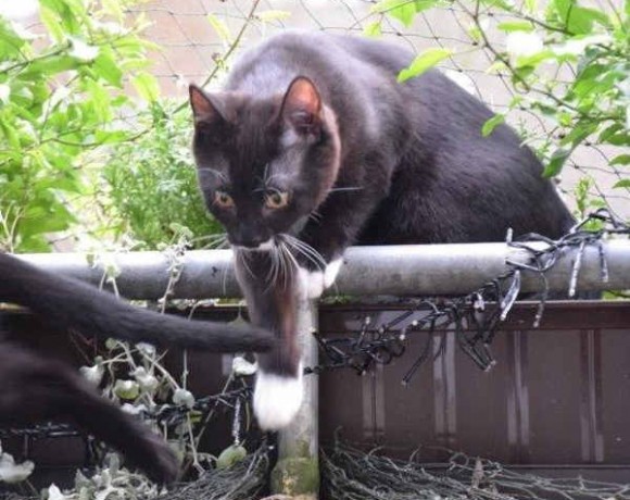 Liya und Muck Liya und Muck