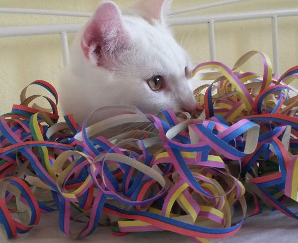 Prosit Neujahr! Prosit Neujahr!