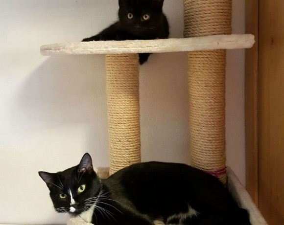 Letty und Momo Letty und Momo