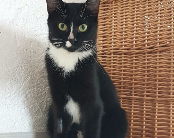 Letty und Momo Letty und Momo