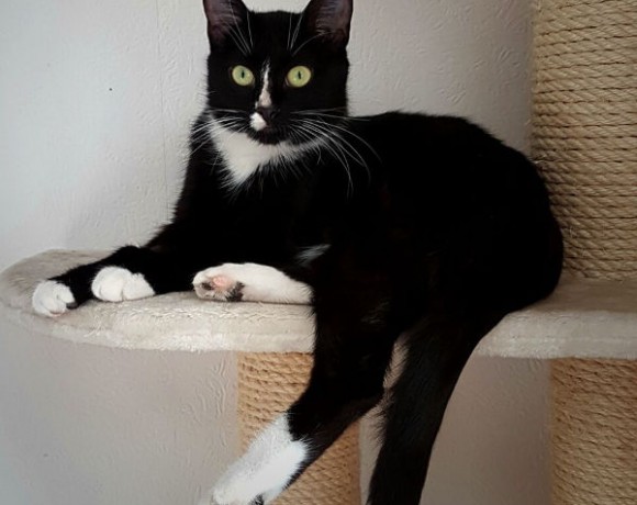 Letty und Momo Letty und Momo