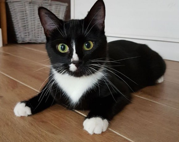 Letty und Momo Letty und Momo