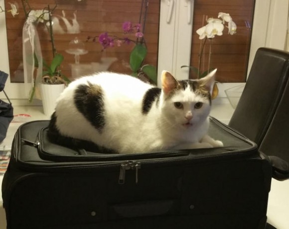 Ida und Carra Ida und Carra