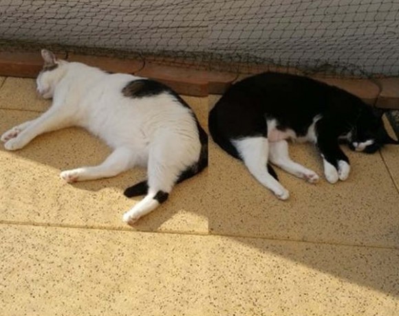 Ida und Carra Ida und Carra