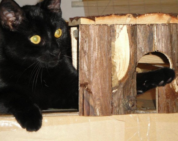 Garagensuchbild_Heikamp