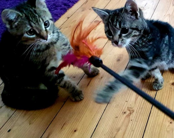 Sieglinde und Fabienne