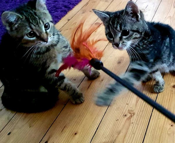 Sieglinde und Fabienne