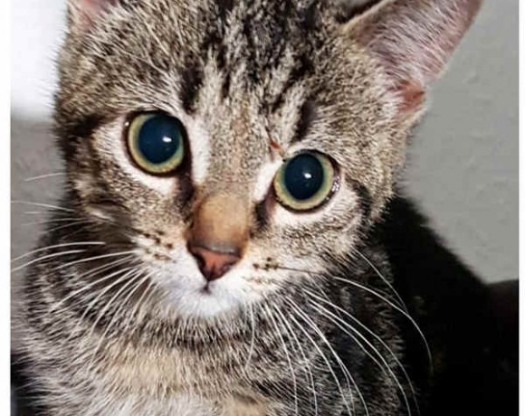 Sieglinde und Fabienne