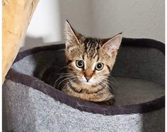 Sieglinde und Fabienne