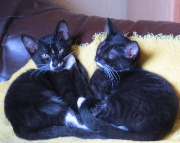 Emelie und Sophia Emelie und Sophia