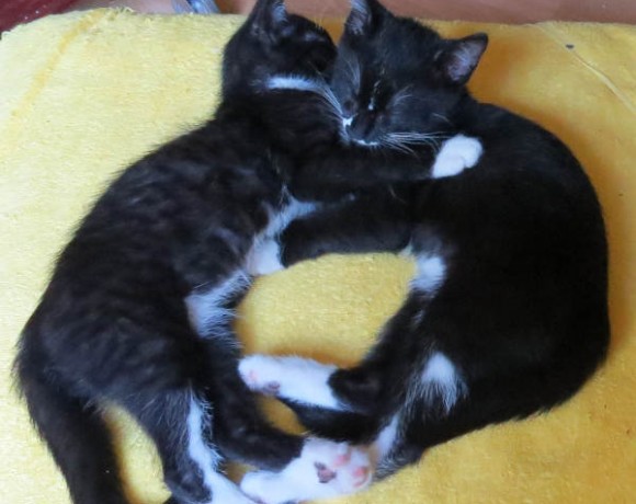 Emelie und Sophia Emelie und Sophia